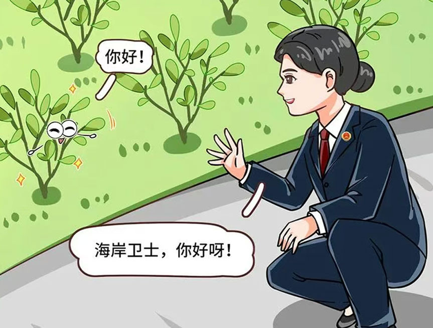 【全国生态日】海岸线的守护：红树和“检察蓝”的故事.jpg