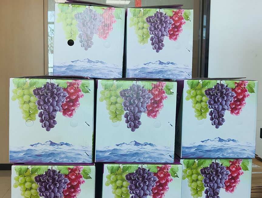 葡萄1.jpg